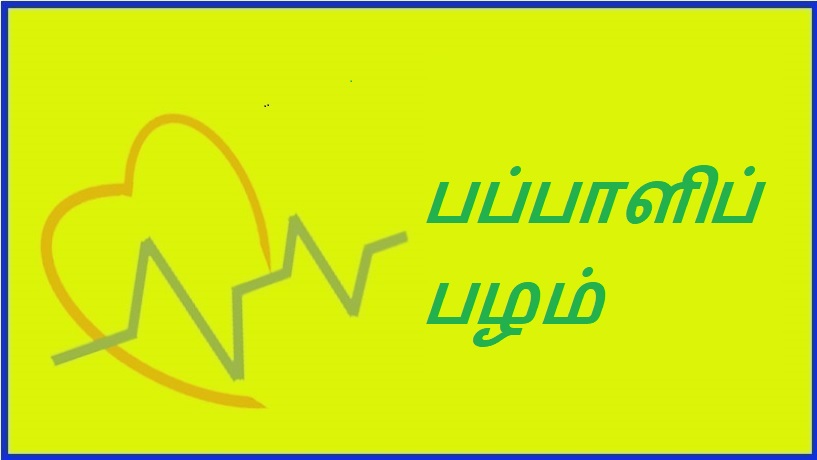 பப்பாளிப் பழம் | Papaya fruit