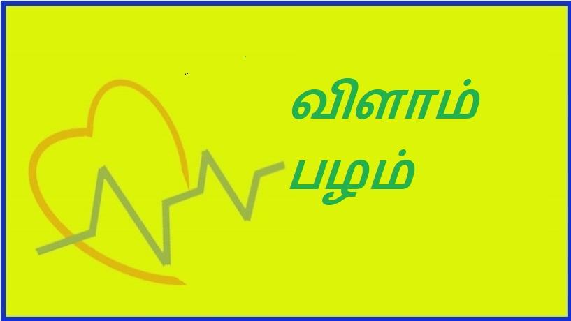 விளாம் பழம் | Blam fruit