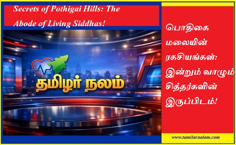 பொதிகை மலையின் ரகசியங்கள்: இன்றும் வாழும் சித்தர்களின் இருப்பிடம்! - தமிழர் நலம் | Secrets of Pothigai Hills: The Abode of Living Siddhas!