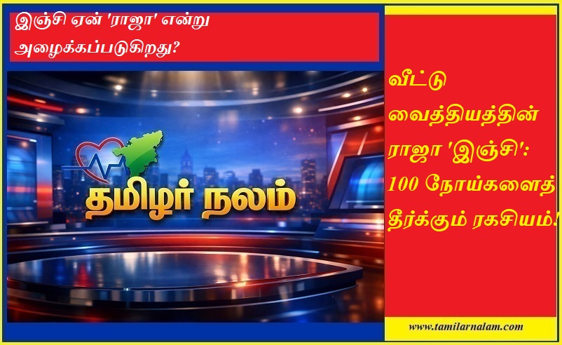 வீட்டு வைத்தியத்தின் ராஜா 'இஞ்சி': 100 நோய்களைத் தீர்க்கும் ரகசியம்! | தமிழர் நலம் |  King of Home Remedies 'Ginger': Secrets to Curing 100 Diseases! | Tamilarnalam
