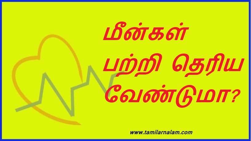 மீன்கள் பற்றி தெரிய வேண்டுமா? | Want to know more about fish?