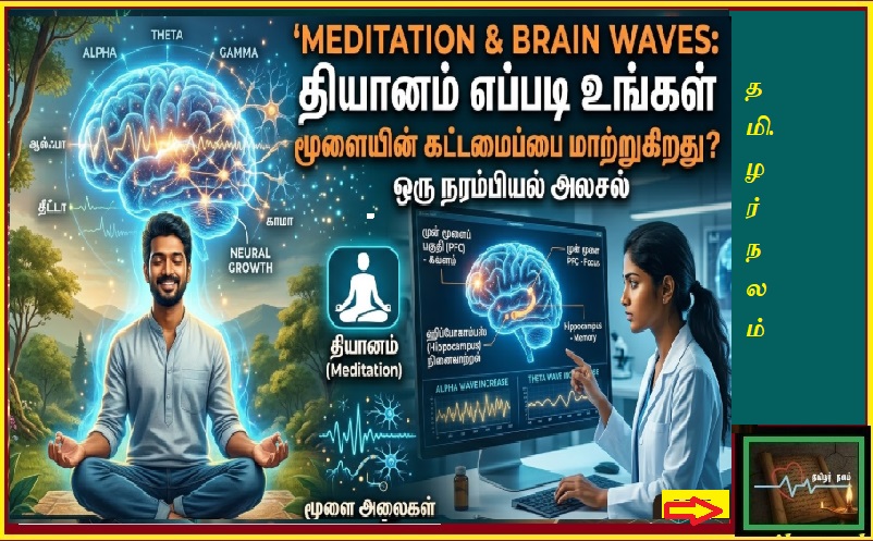 தியானம் மற்றும் மூளை அலைகள்: உங்கள் மூளையின் கட்டமைப்பை மாற்றும் தியானம்! - தமிழர் நலம் | Meditation and Brain Waves: How Meditation Rewires Your Brain Structure - A Neurological Analysis