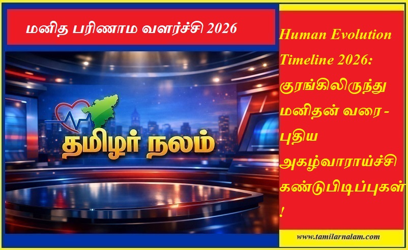 மனித பரிணாம வளர்ச்சி 2026: குரங்கிலிருந்து மனிதன் வரை - புதிய கண்டுபிடிப்புகள்! | Human Evolution Timeline 2026: From Apes to Humans - Latest Discoveries - Tamilar Nalam