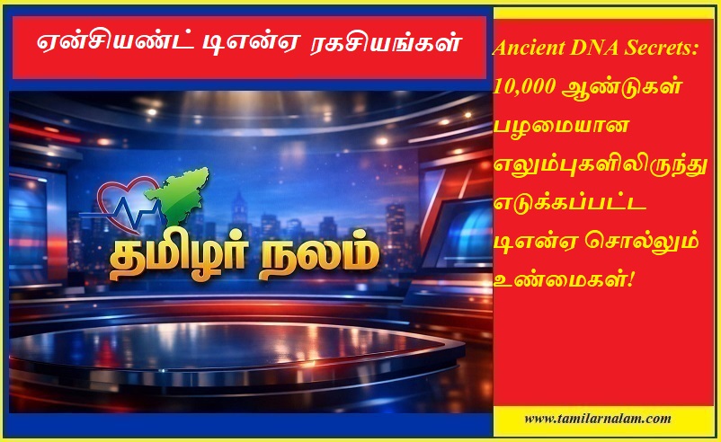 ஏன்சியண்ட் டிஎன்ஏ ரகசியங்கள்: 10,000 ஆண்டுகள் பழமையான எலும்புகள் சொல்லும் அதிர்ச்சி உண்மைகள்! - தமிழர் நலம் | Ancient DNA Secrets: What 10,000-Year-Old Bones Tell Us About Our Past - Tamilar Nalam