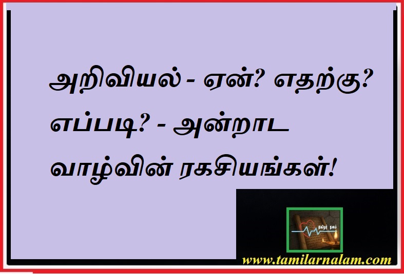 அறிவியல் - ஏன்? எதற்கு? எப்படி? அன்றாட வாழ்வின் ரகசியங்கள்! | தமிழர் நலம் | Science in Everyday Life: Why, How, and What? | Tamilar Nalam
