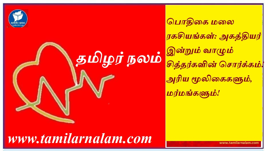 பொதிகை மலை ரகசியங்கள்: அகத்தியர் இன்றும் வாழும் சித்தர்களின் சொர்க்கம்! அரிய மூலிகைகளும், மர்மங்களும்! | Secrets of Pothigai Hills: The Paradise of Siddhas Where Agastya Lives! Rare Herbs and Mysteries!