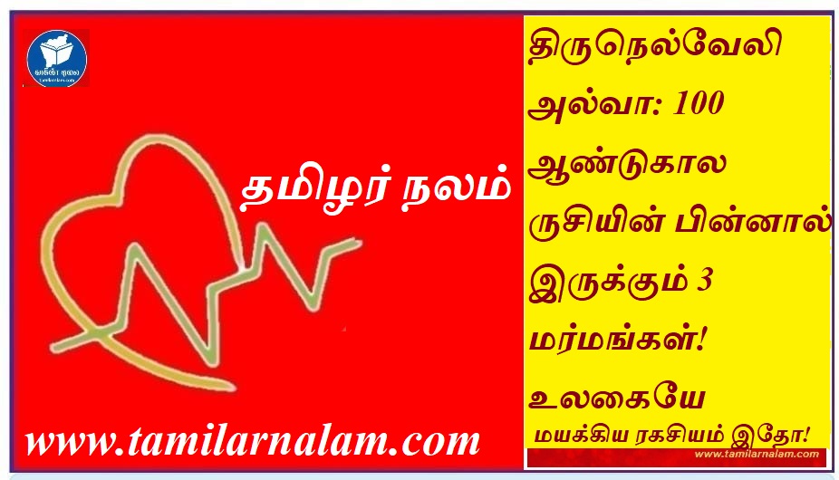திருநெல்வேலி அல்வா: 100 ஆண்டுகால ருசியின் பின்னால் இருக்கும் 3 மர்மங்கள்! உலகையே மயக்கிய ரகசியம் இதோ! | Tirunelveli Halwa: 3 Secrets Behind the 100-Year Taste! Discover the Mystery That Enchanted the World!