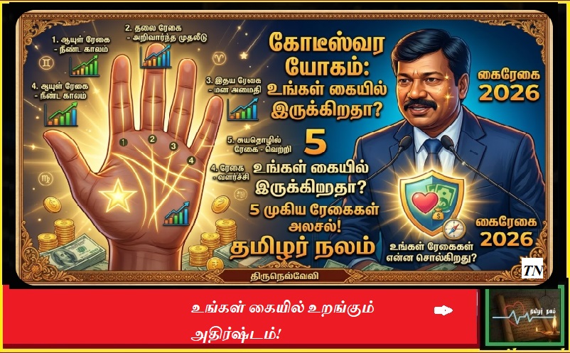 உங்கள் கையில் இருக்கும் ரேகைகள் உங்கள் கோடீஸ்வர யோகத்தைப் பற்றி என்ன சொல்கிறது? - தமிழர்நலம் | Do You Have Billionaire Signs on Your Palm? Palmistry Secrets Revealed - TamilarNalam