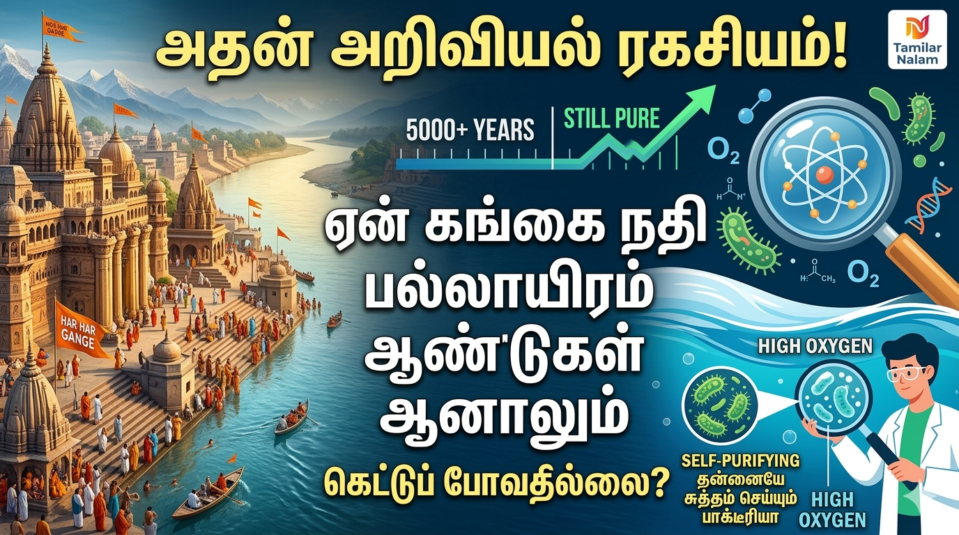 கங்கை நதி கெட்டுப்போகாததன் அறிவியல் பின்னணி - தமிழர்நலம் | The Science Behind Why Ganges Water Never Decays - TamilarNalam