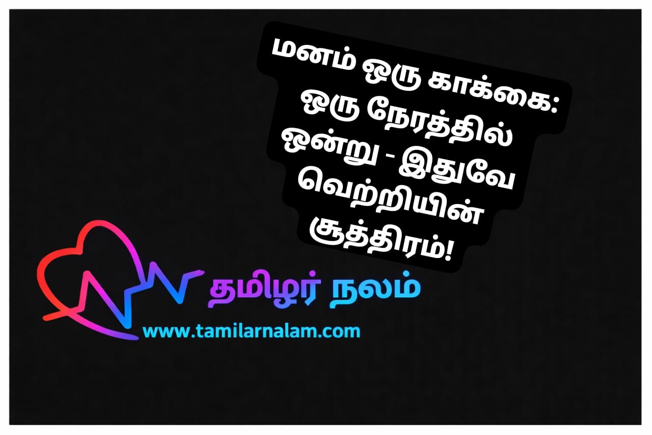 மனமும் காக்கையும்: ஒரு நேரத்தில் ஒரு கவனம் - தமிழர்நலம் | The Crow Mindset: The Power of Single-tasking - TamilarNalam