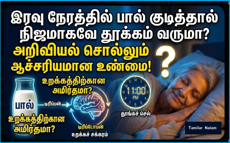 இரவு நேரத்தில் பால் குடித்தால் நிஜமாகவே தூக்கம் வருமா? அறிவியல் சொல்லும் ஆச்சரியமான உண்மை! | ​Does Drinking Milk at Night Really Help You Sleep? The Surprising Scientific Truth Revealed!