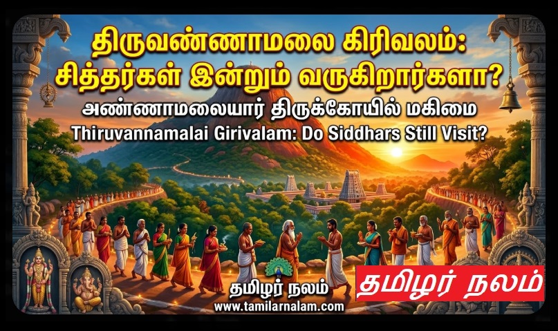 ​திருவண்ணாமலை கிரிவலம்: சித்தர்கள் இன்றும் கிரிவலப் பாதையில் வருகிறார்களா? அறிவியல் மற்றும் ஆன்மீக உண்மைகள்! | ​Thiruvannamalai Girivalam: Do Siddhars Still Walk the Path Today? Science and Spiritual Truths!