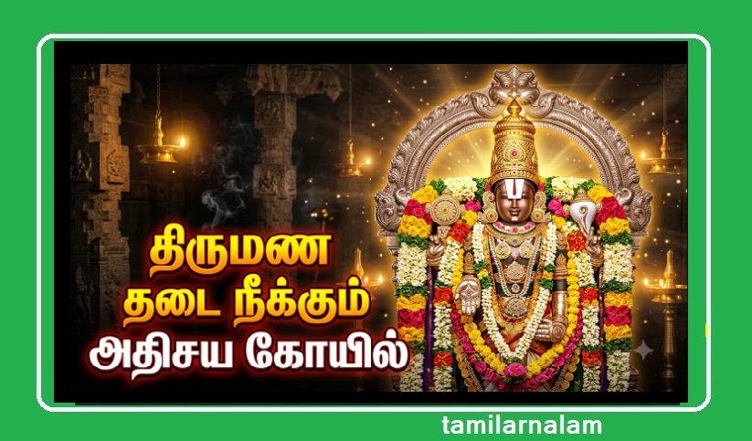 திருமண தடை நீக்கி தீராத நோய் தீர்க்கும் தச்சநல்லூர் வரம் தரும் பெருமாள்! 700 ஆண்டு கால அதிசயம்! | Varam Tharum Perumal Temple Thatchanallur: Miracle Temple for Marriage & Health!