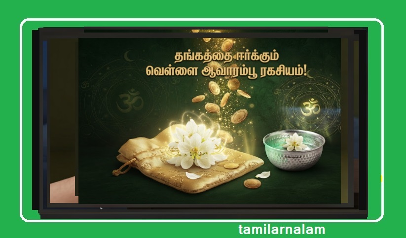 பணம் ஈர்க்கும் 'வெள்ளை ஆவாரம்பூ' ரகசியம்! தங்கத்தையே ஈர்க்கும் மூலிகை இதுதான்! | White Avarampoo Secret to Attract Wealth! The Herbal Magnet for Gold & Prosperity!