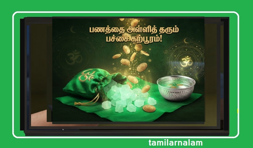 பணத்தை ஈர்க்கும் 'பச்சை கற்பூரம்' ரகசியம்! உங்கள் வீட்டில் செல்வம் பொங்க இதோ வழி! | Green Camphor Secret to Attract Wealth! Simple Ritual to Bring Prosperity Home!