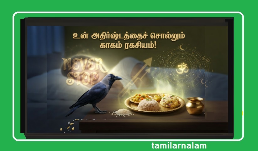 2026-ல் உங்கள் ஜன்னல் ஓரம் 'காகம்' (Crow) கரைந்தால் என்ன பலன்? விருந்தினரா அல்லது அதிர்ஷ்டமா? | What Happens If a Crow Caws Near Your Window in 2026? Guest or Good Luck?