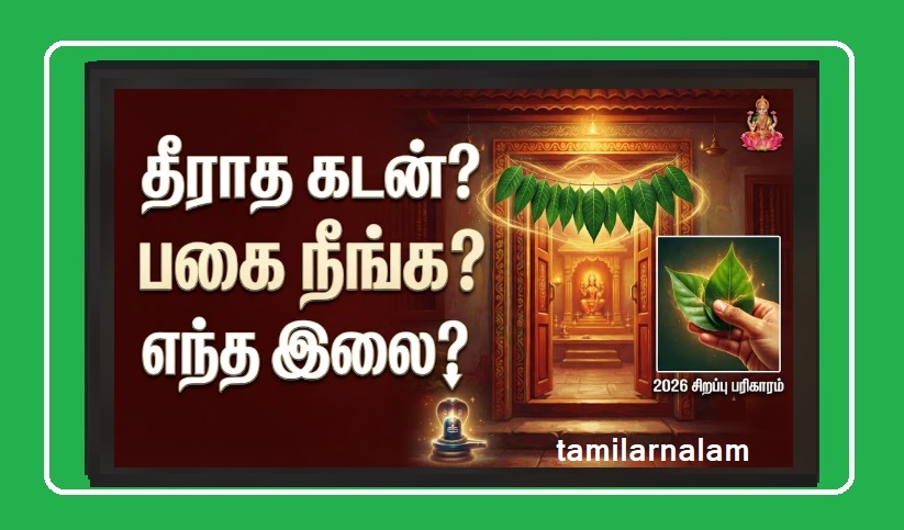 2026-ல் உங்கள் வீட்டின் 'நிலைவாசலில்' இந்த மரத்தின் இலையைக் கட்டினால் கஷ்டங்கள் தீரும்! | Hang This Leaf on Your Main Door in 2026 to End All Troubles! Vastu Secret!