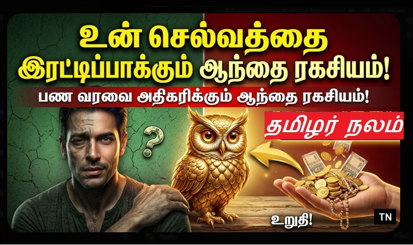 2026-ல் உங்கள் கையில் 'ஆந்தை' (Owl) படம் அல்லது சிலை இருந்தால் பணம் வருமா? | Having an Owl Statue or Picture at Home in 2026: Does It Attract Wealth?