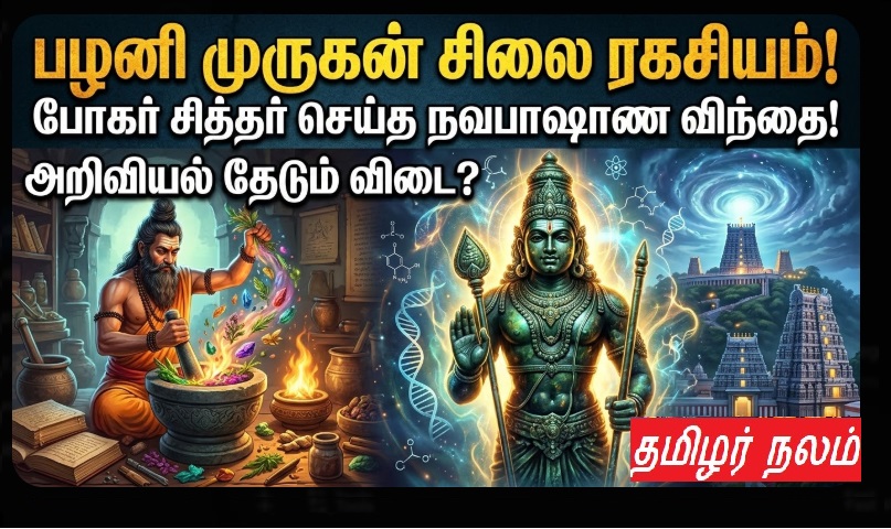 பழனி முருகன் சிலை ரகசியம்: போகர் சித்தர் செய்த நவபாஷாண விந்தை! - அறிவியல் தேடும் விடை | Palani Murugan Navapashanam Statue Mystery