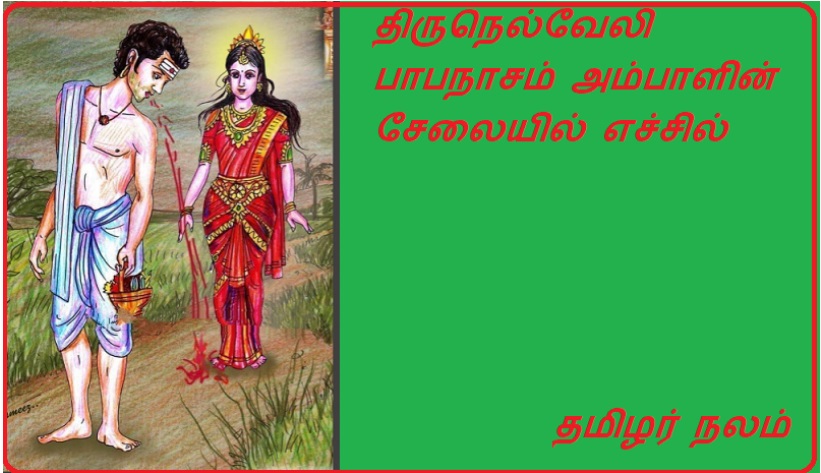 திருநெல்வேலி பாபநாசம் அம்பாளின் சேலையில் எச்சில் | Tirunelveli Babanasam Ambal's saree spitting
