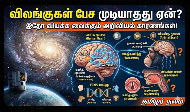 விலங்குகள் பேச முடியாதது ஏன்? இதோ வியக்க வைக்கும் அறிவியல் காரணங்கள்! | Why Animals Can't Talk Science Facts in Tamil