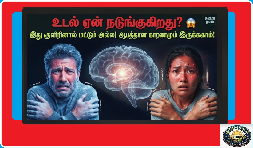 உடல் நடுக்கம் ஏற்படக் காரணங்கள் என்ன? | Why Does the Human Body Shiver Suddenly Tamil | Why Does the Human Body Shiver Suddenly? More Than Just Cold – The Scientific Secrets Revealed