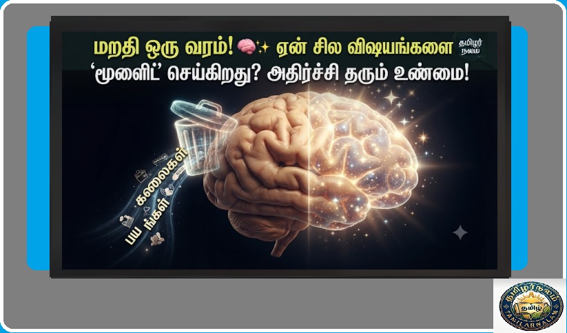 மறதி ஒரு வியாதியல்ல... மூளையின் பாதுகாப்பு ரகசியம்! | Why Forgetting is Good for Your Brain Tamil | Forgetting is Not a Disease... It's a Brain Defense Strategy! Shocking Facts You Never Knew
