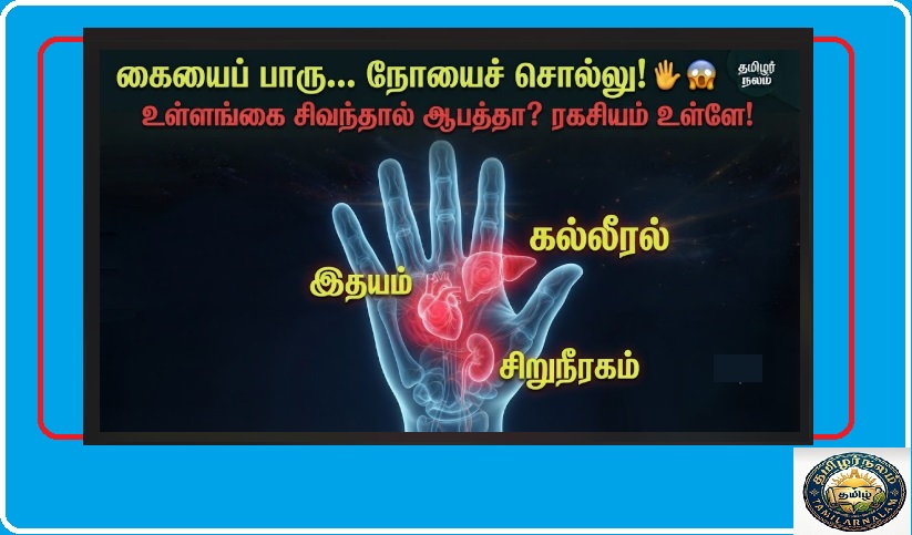 உங்கள் கைகள் சொல்லும் ரகசிய நோய்கள்! | What Your Hands Say About Your Health Tamil | The Language of Your Body! What Secrets Are Your Hands Revealing About Your Health?