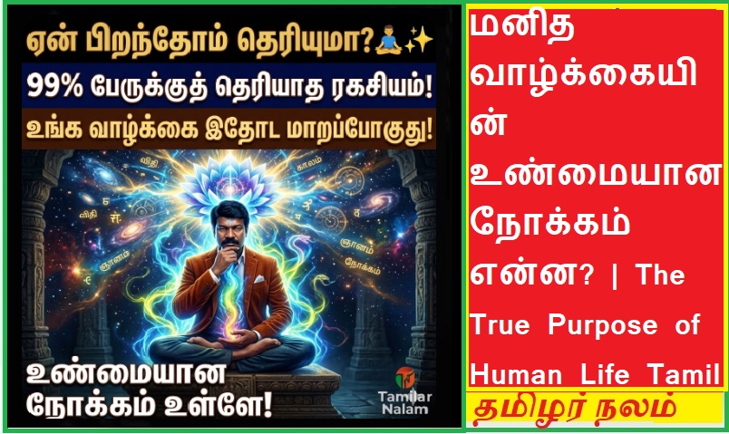 நாம் ஏன் பிறந்தோம்? - மனித வாழ்க்கையின் உண்மையான நோக்கம் இதுதான்! - 99% பேருக்குத் தெரியாத ரகசியம்! 🧘♂️✨💎 | Why Are We Born? The Ultimate Purpose of Human Life Revealed – A Secret Known to Only 1%