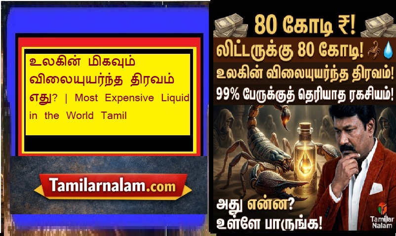 உலகின் மிகவும் விலையுயர்ந்த திரவம் எது? - லிட்டருக்கு 80 கோடி ரூபாய்! அதன் பின்னணியில் உள்ள மர்மம்! 🦂💧💰 | What is the Most Expensive Liquid in the World? 80 Crores Per Liter! The Mystery Behind It