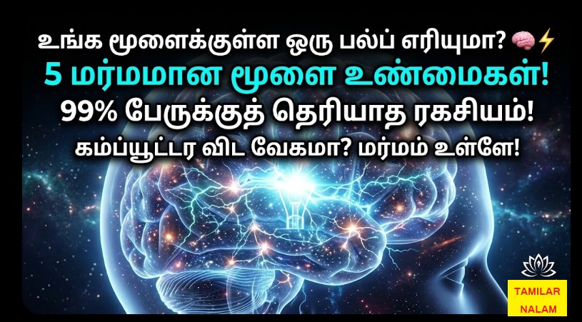 மனித மூளையின் மர்மமான உண்மைகள்! | Human Brain Mysteries Explained Tamil