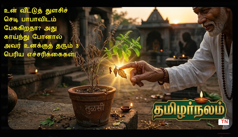 உன் வீட்டுத் துளசிச் செடி பாபாவிடம் பேசுகிறதா? 3 பெரிய எச்சரிக்கைகள்! | Signs from Your Tulsi Plant: 3 Spiritual Warnings from Shirdi Sai Baba