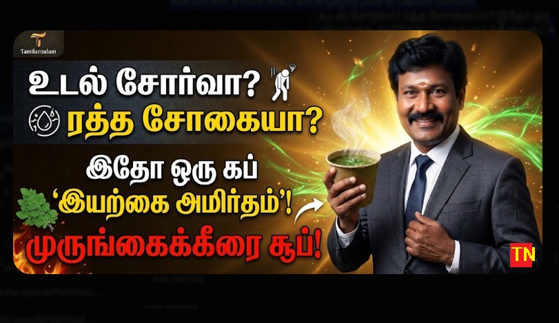 முருங்கைக்கீரை சூப்: கர்ப்பிணிகள் மற்றும் குழந்தைகளுக்கு ஒரு வரப்பிரசாதம்! | தமிழர் நலம் | Drumstick Leaves Soup Recipe: Health Benefits for Pregnancy & Kids | Tamilar Nalam