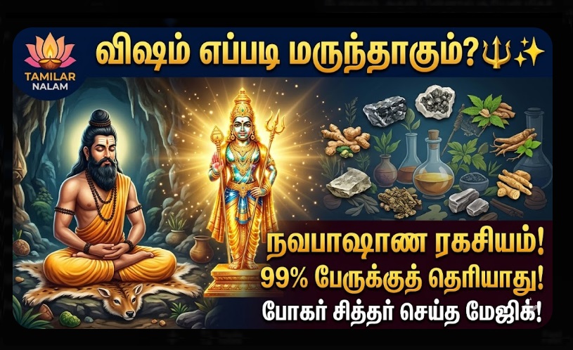 9 விஷங்கள் சேர்ந்தால் அமிர்தமா? 🔱 பழனி முருகன் சிலையின் 'நவபாஷாண' ரகசியம்: 99% பேருக்குத் தெரியாத போகர் சித்தரின் அறிவியல் அற்புதம்! ✨ தீராத நோய் தீர்க்கும் அந்த 'மெடிக்கல்' சிலை! 🙏 | The Mystery of Navapashanam: How 9 Poisons Became a Healing Idol at Palani Murugan Temple | Siddhar Bhogar's Alchemy Revealed
