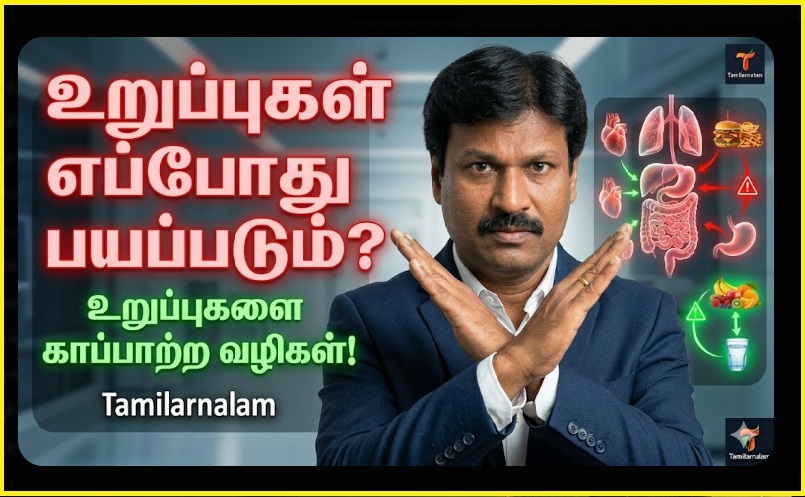 🛡️ உங்கள் உடல் உறுப்புகளின் ரகசியக் குரல்: எப்போது அவை பயப்படுகின்றன? (அவசியம் படிக்கவும்) | The Silent Cry of Your Organs: When Do They Get Scared?