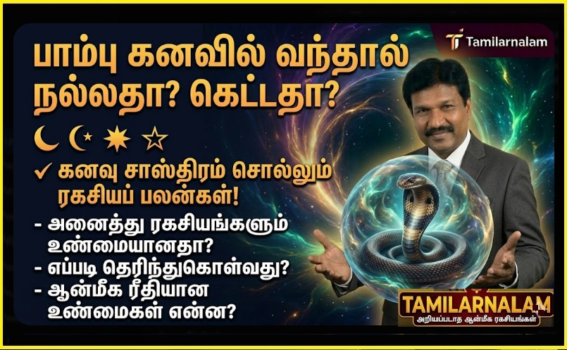 பாம்பு கனவில் வந்தால் நல்லதா? கெட்டதா? கனவு சாஸ்திரம் சொல்லும் ரகசியப் பலன்கள்! | Snake in Dreams: Good or Bad? Secret Meanings Explained by Dream Astrology!
