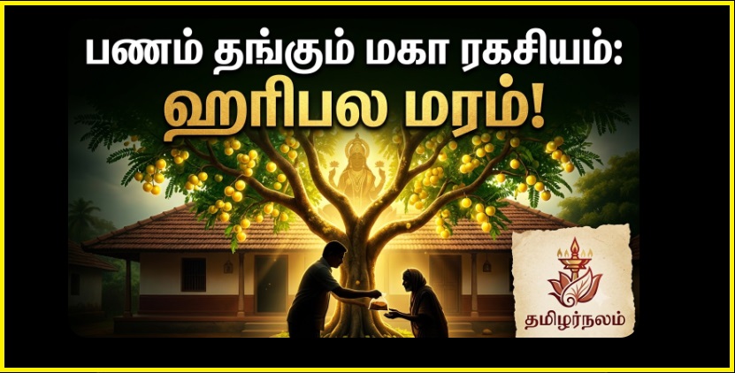 நிரந்தர பணக்காரர் ஆக வேண்டுமா? ஹரிபல மரம் மற்றும் ரகசிய தானத்தின் மகா ரகசியம்! | Secret to Permanent Wealth: The Miracle of Haripala Tree and Secret Charity | Tamilar Nalam