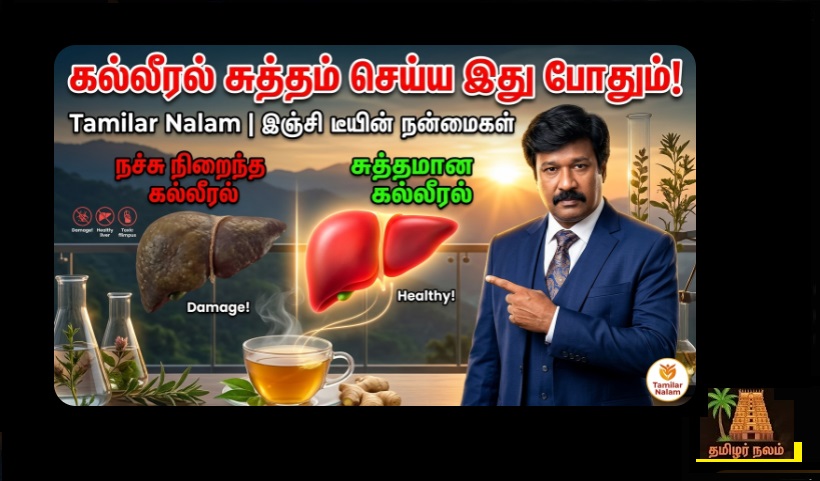 🍵 தினமும் இஞ்சி தேநீர் அருந்தும்போது உங்கள் கல்லீரலுக்கு என்ன ஆகிறது? | 🍵 What happens to your liver when you drink ginger tea daily?