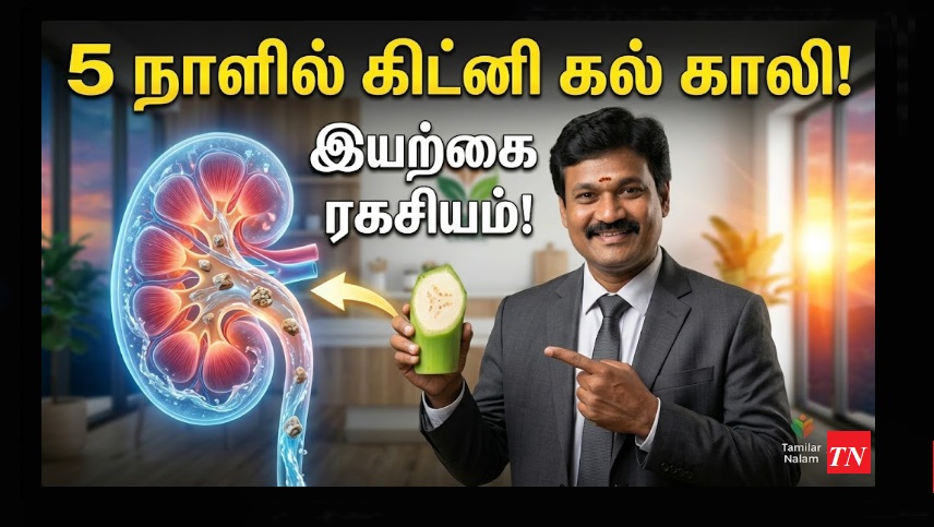 ​கிட்னி கற்களை 5 நாட்களில் கரைப்பது எப்படி? - அறுவை சிகிச்சை இல்லாத இயற்கை ரகசியம்! | How to Dissolve Kidney Stones in 5 Days? - Non-Surgical Secret!