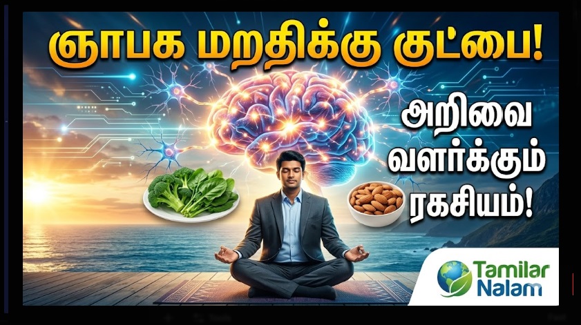 ​மறதியை விரட்டுவோம்! ஞாபக சக்தியை மின்னல் வேகத்தில் அதிகரிக்கும் 6 எளிய வழிகள்! | Let's Banish Forgetfulness! 6 Simple Ways to Boost Memory Power at Lightning Speed!