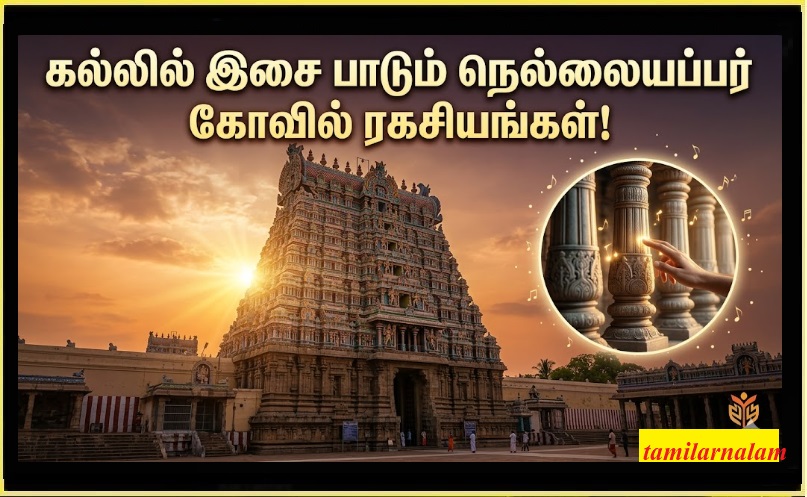 திருநெல்வேலி நெல்லையப்பர் கோவில்: கல்லால் அடித்தாலும் கனி தரும் ஈசனின் ரகசியம்! | Nellaiappar Temple Secrets: The Divine Mystery of the Lord of Tirunelveli