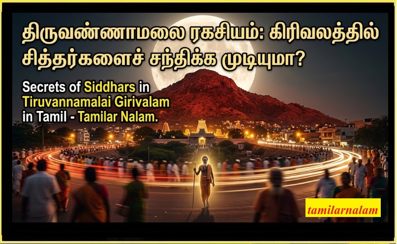 திருவண்ணாமலை கிரிவலம்: பௌர்ணமி நாளில் சித்தர்கள் மனித உருவில் வருகிறார்களா? மர்மங்களும் உண்மைகளும்! | Tiruvannamalai Girivalam: Do Siddhars walk among humans on Full Moon nights? Mysteries Unveiled!