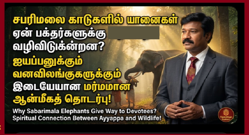 சபரிமலைக் காட்டில் யானைகள் ஏன் பக்தர்களுக்கு வழிவிடுகின்றன? – விலங்குகளுக்கும் ஐயப்பனுக்கும் உள்ள அந்த மர்மப் பிணைப்பு! | Sabarimala Elephants Story Tamil | Why Elephants Respect Ayyappa Devotees | Forest Wildlife Miracle Kerala