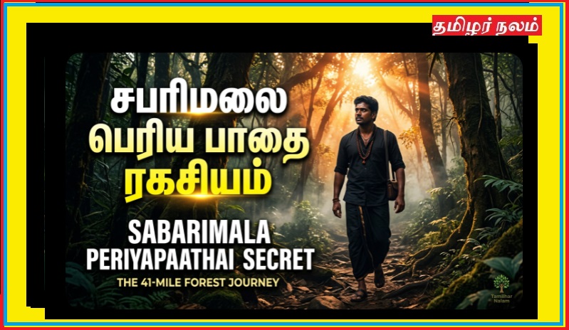 சபரிமலையில் ஏன் ‘பெரிய பாதை’ வழியாகச் செல்ல வேண்டும்? – காடு சொல்லும் அந்த 41 மைல் வாழ்க்கை ரகசியம்! | Sabarimala Periya Paathai Meaning Tamil | Why Big Forest Route Ayyappa Pilgrimage | 41 Mile Path Secret
