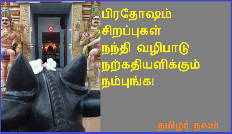 நந்தி வழிபாடு நற்கதியளிக்கும் | 'Nandi worship is auspicious
