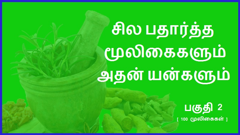 100 பதார்த்த மூலிகைகளும் அதன் பயன்களும் - பகுதி 2 | 100 Medicinal Herbs and their Uses - Part 2