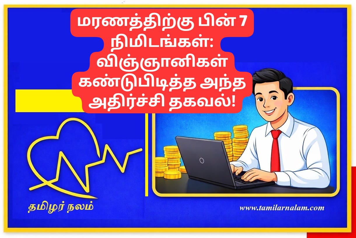 மரணத்திற்கு பின் 7 நிமிடங்கள்: விஞ்ஞானிகள் கண்டுபிடித்த அந்த அதிர்ச்சி தகவல்! | 7 Minutes After Death: What Really Happens Inside the Human Brain?