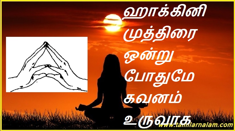 ஹாக்கினி முத்திரை ஒன்று போதுமே கவனம் உருவாக | A Hockney logo is enough to generate attention