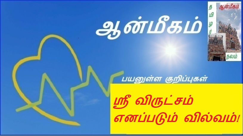 ஸ்ரீ விருட்சம் எனப்படும் வில்வம்! | A bow called Sri Vrutsam!
