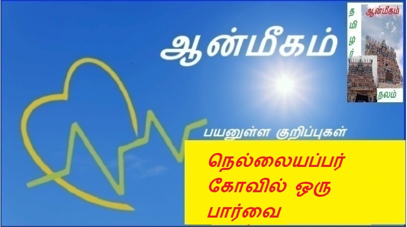 நெல்லையப்பர் கோவில் ஒரு பார்வை | A view of the Nellaipar temple